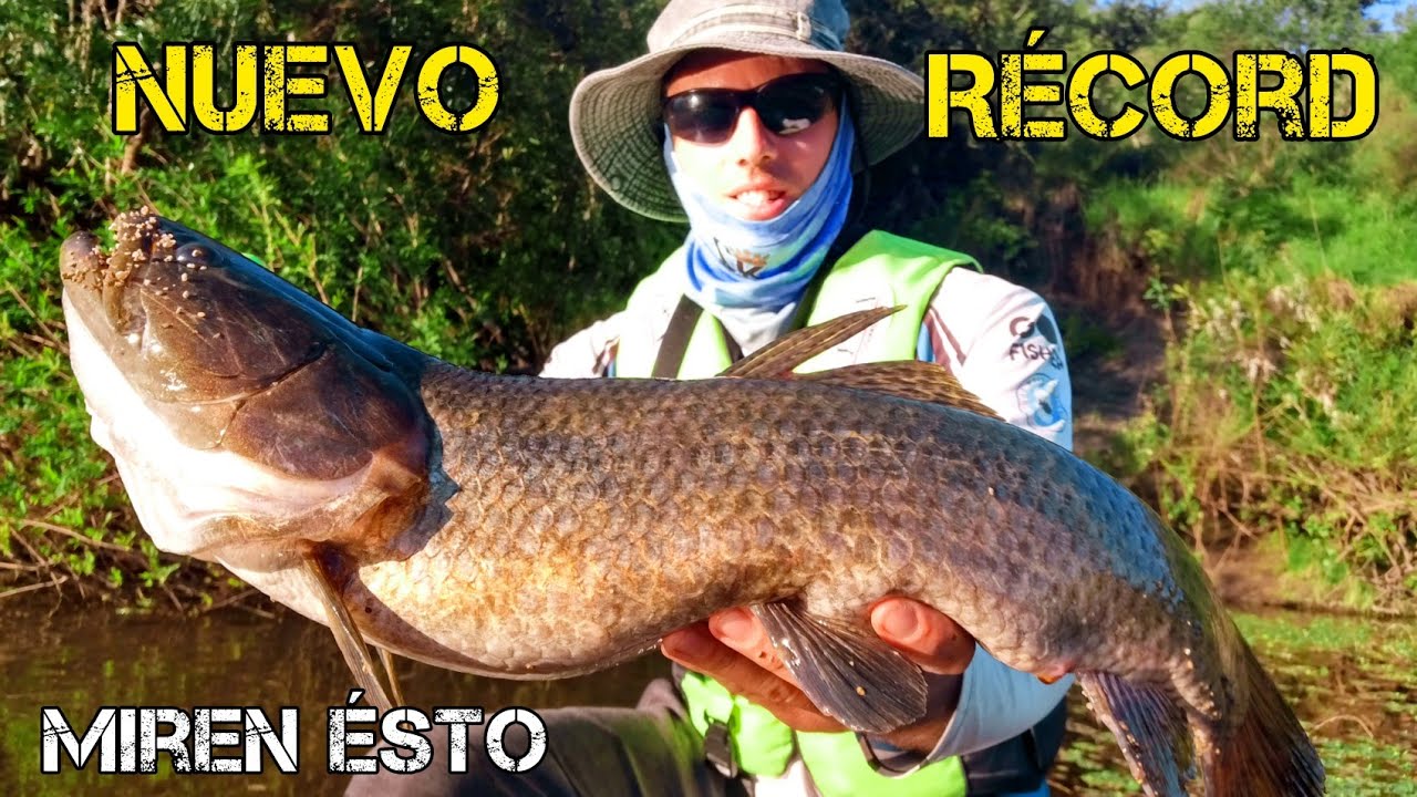 PESQUÉ la TARARIRA TORNASOL MÁS GRANDE del LUGAR, NO ME ESPERABA PESCAR ÉSTO ACÁ 💥🎣