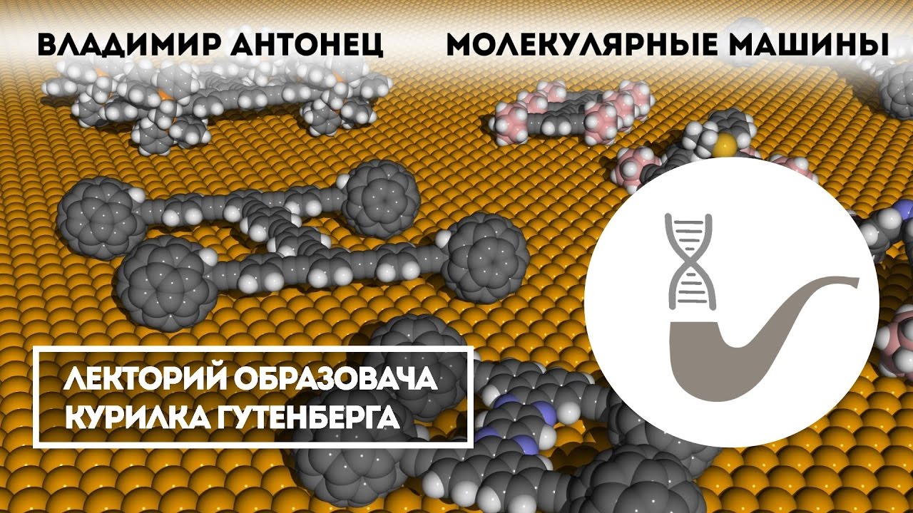 Владимир Антонец – Молекулярные машины: за что дали Нобелевскую премию по химии 2016