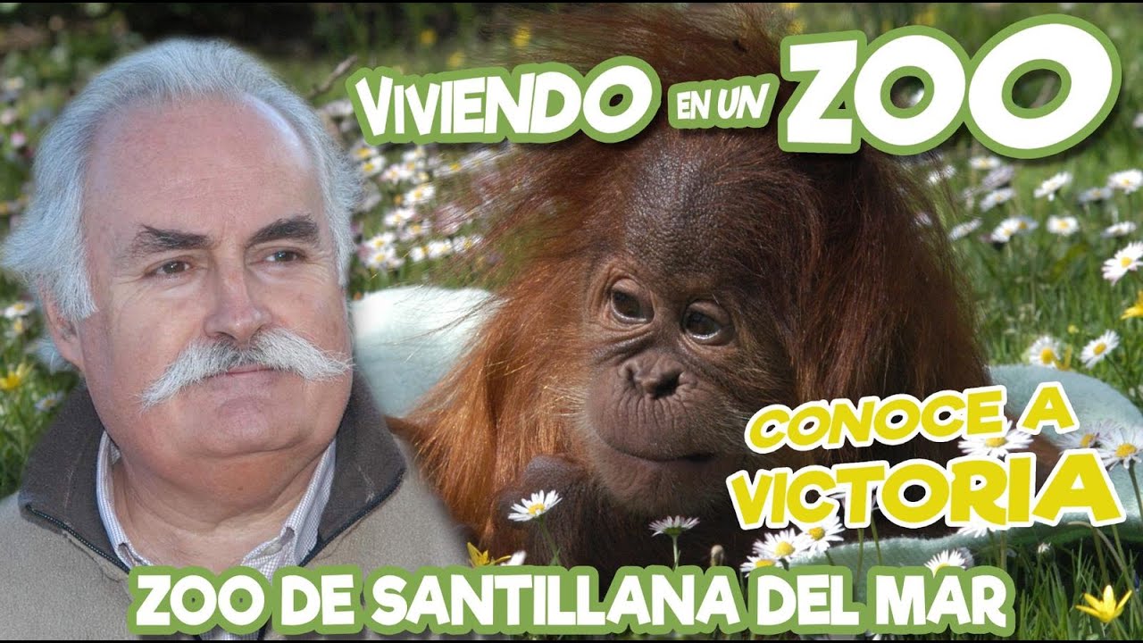 Conoce a Victoria