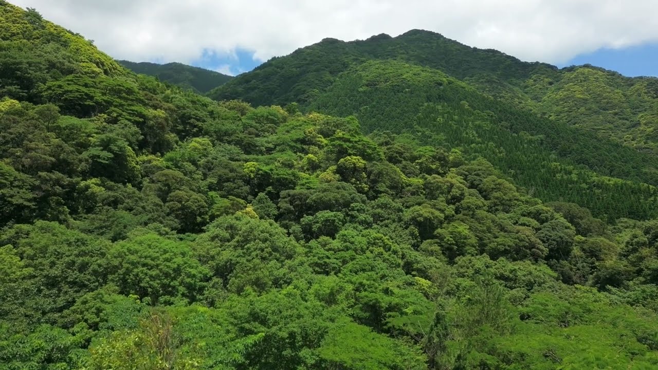 広瀬川(鹿児島県肝付町国見トンネル横)