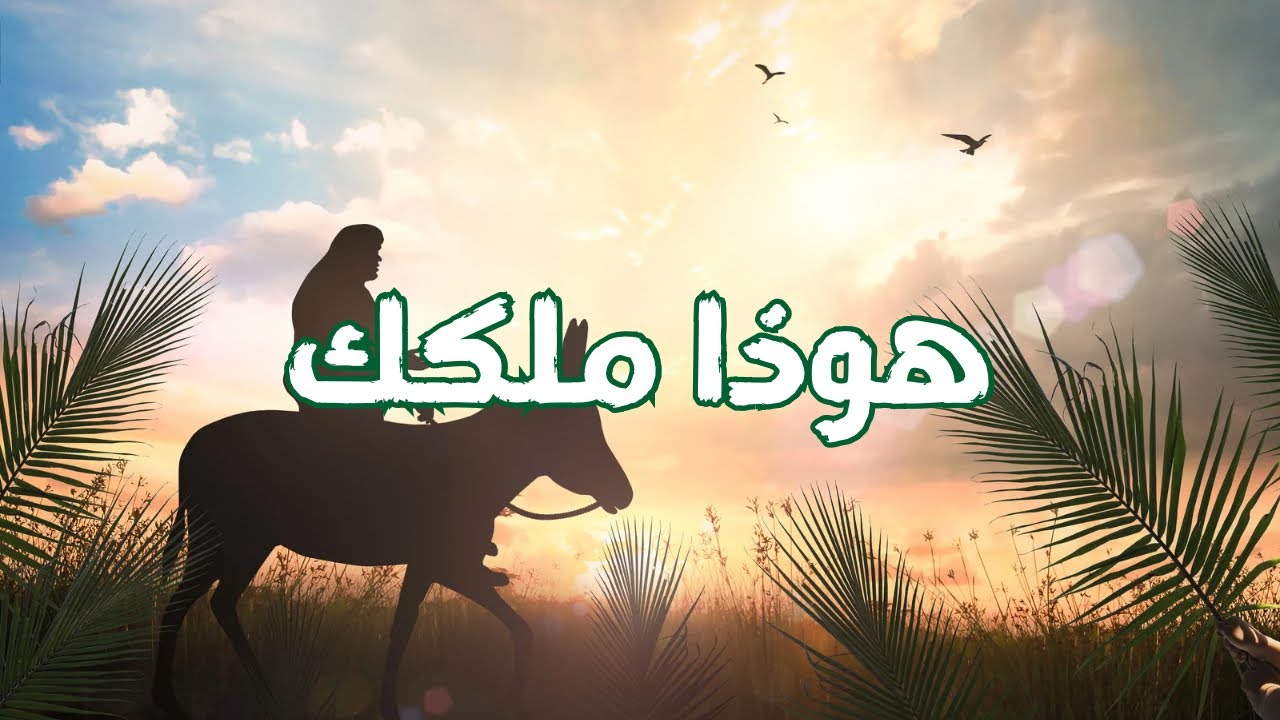 الصبح من العلية (1565)  هوذا ملكك