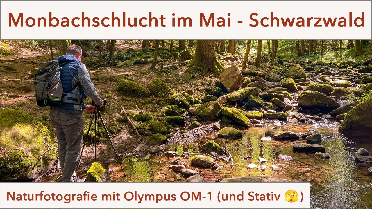 Monbachschlucht im Nordschwarzwald - Olympus OM-1 meditative Naturfotografie, diesmal mit Stativ 🫣