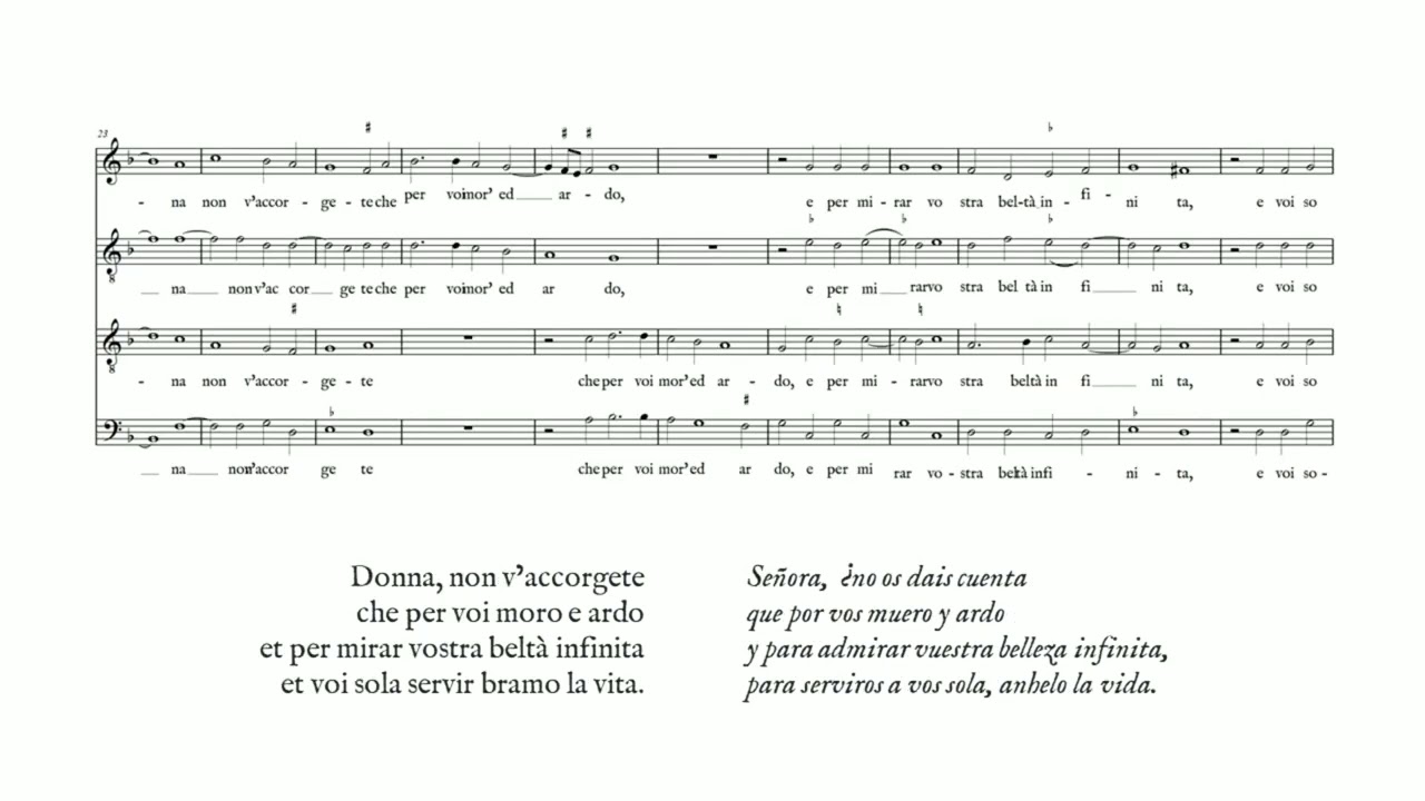 Philippe Verdelot: Madonna, per voi ardo (Profeti della Quinta)