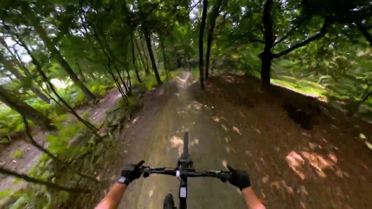 Home Trails - Posbank - Rozendaalse Bos - Velp - Insta360 X4