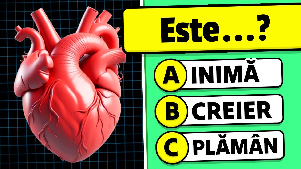 🧠 Poți trece acest quiz despre Corpul Uman? 🧍💪🧬 Quiz de Cultură Generală