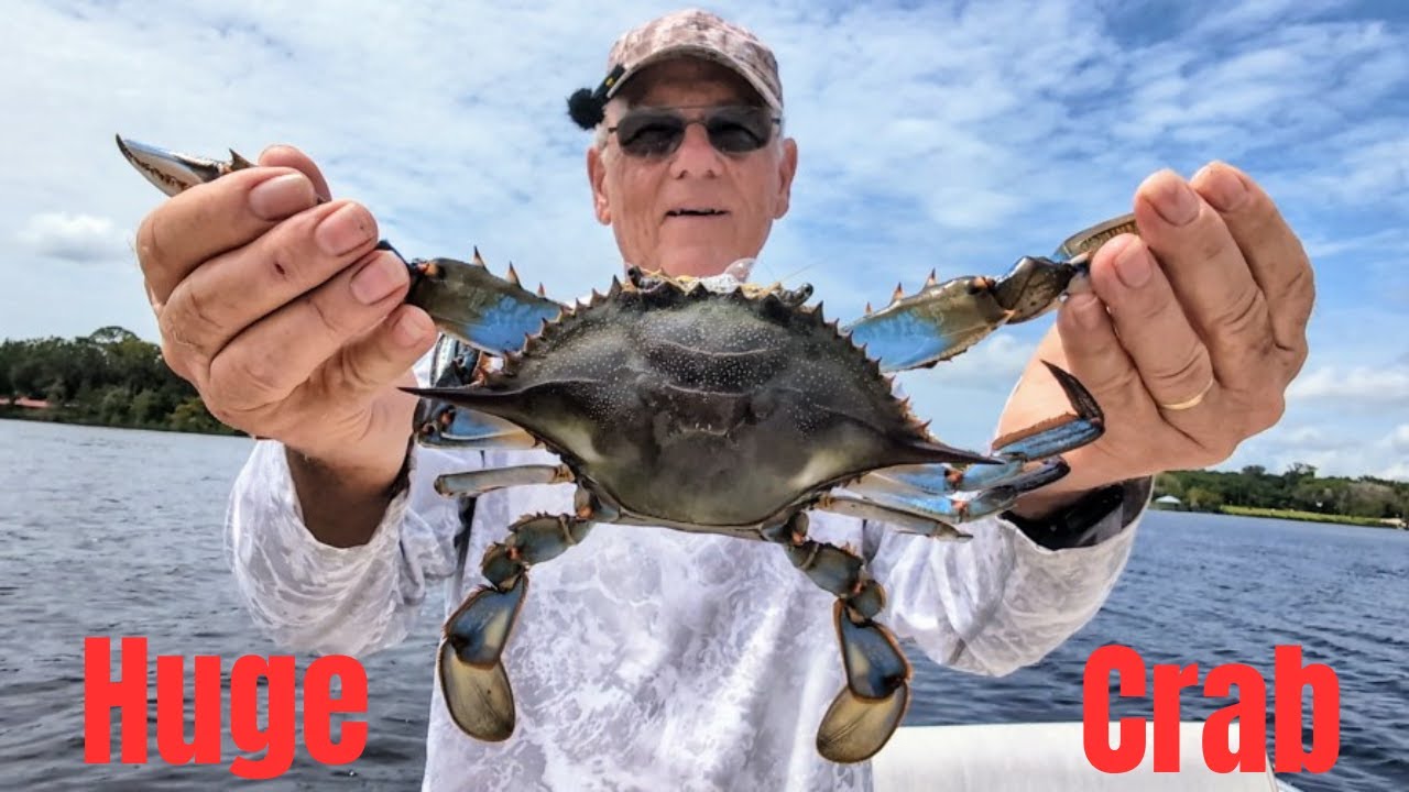 Setting And Pulling Our Blue Crab Traps