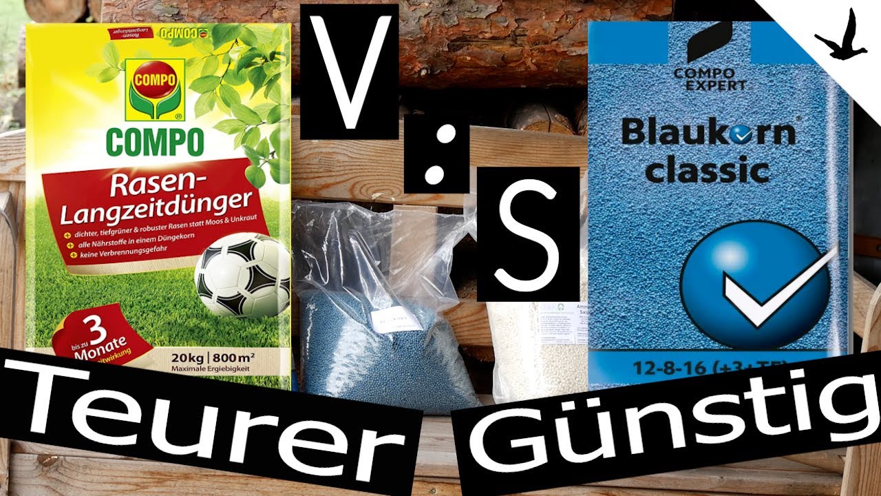 Rasendünger Test und Vergleich ✅Marken Rasendünger gegen Blaukorn Classic