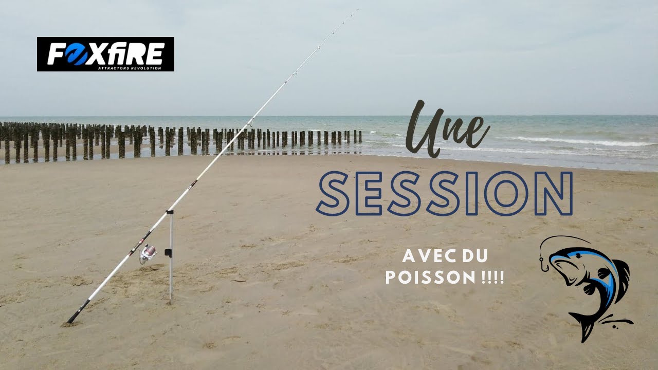 Enfin du Poisson sur la Côte d'Opale !!!