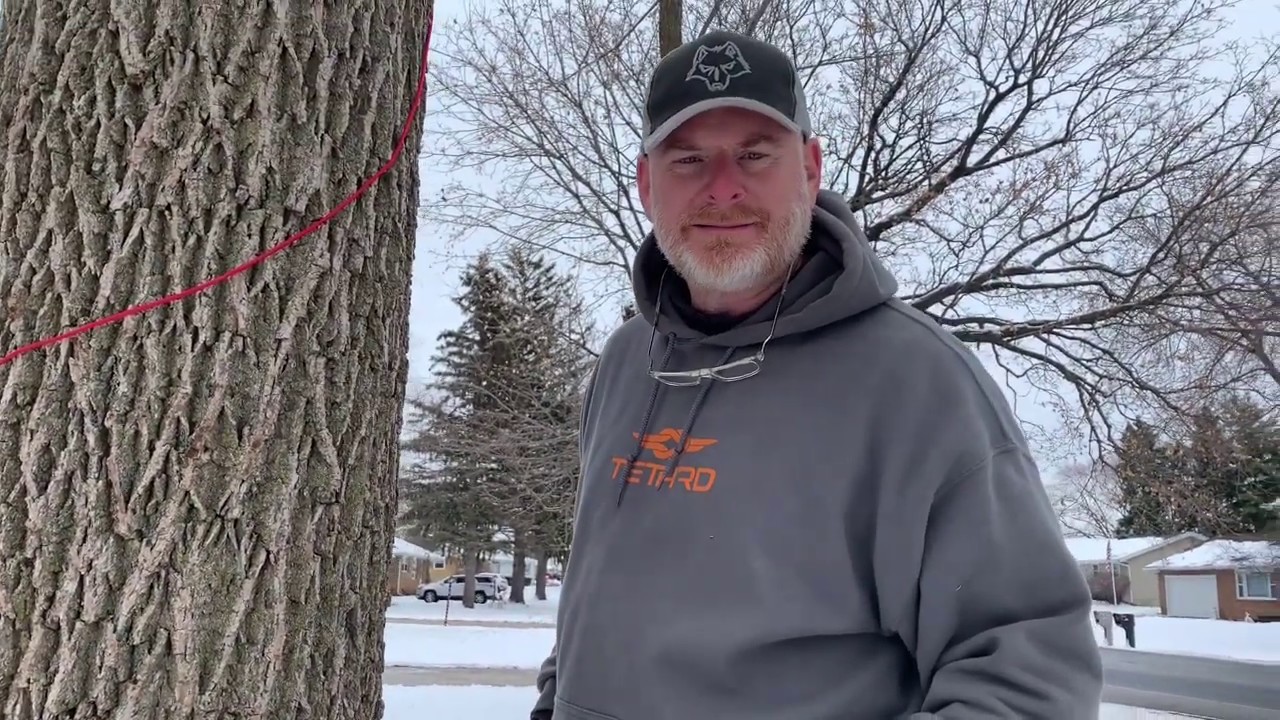 Tree Squeeze For Climbing Spur Method
