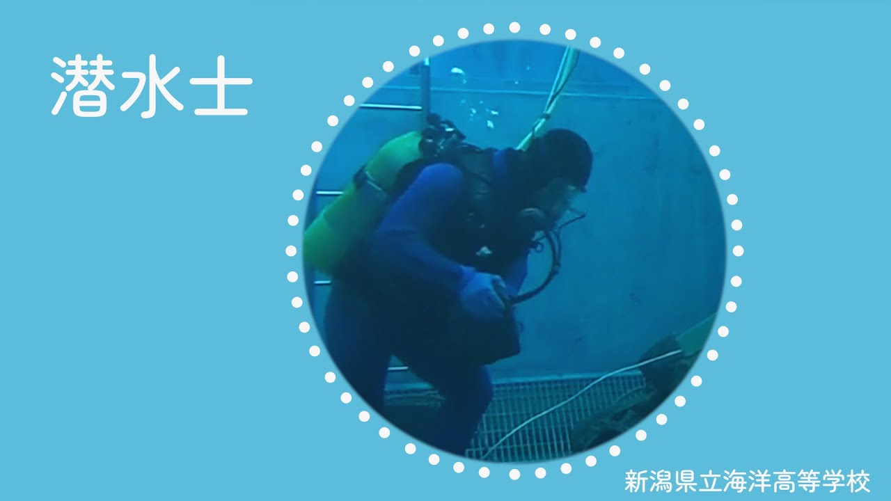 魅力発信【潜水士・新潟県立海洋高等学校】