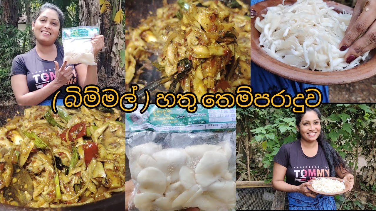  සැරට රසට බිම්මල් ( හතු ) තෙම්පරාදුව Try කරලා බලමු ද?