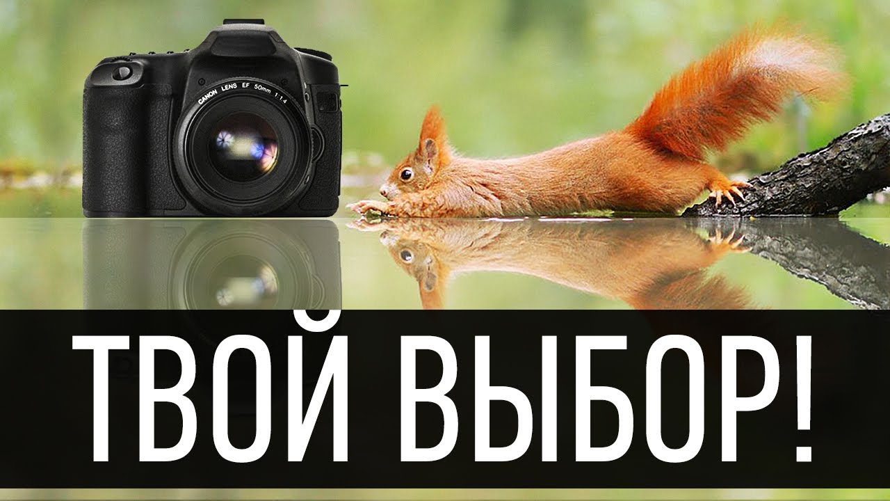 Какой фотоаппарат выбрать начинающему фотографу в 2025 году?