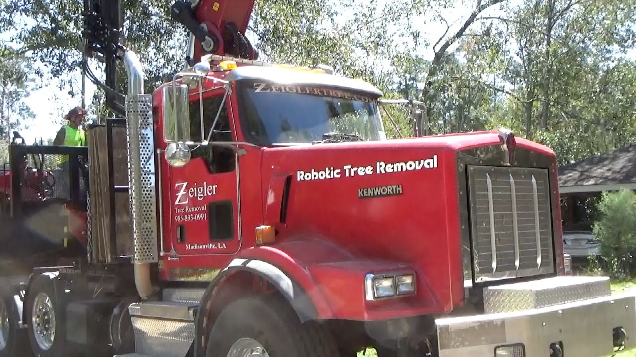 Robotic Tree Removal.