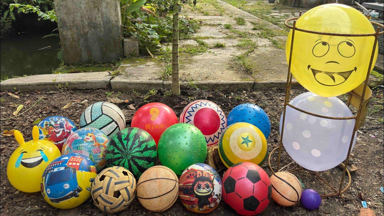 HUNTING BALON LUCU 🎈DAN BOLA BOLA ⚽️🏀🏐 551
