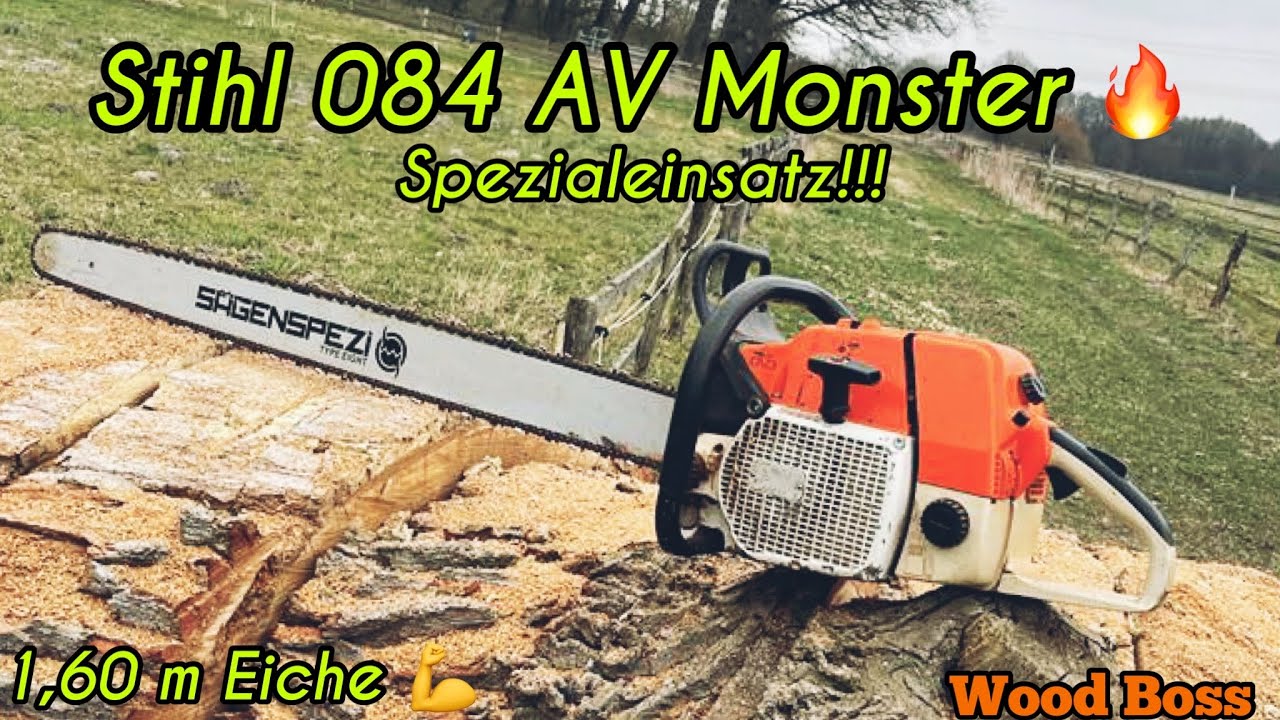 Dicke Eiche/Stihl 084 AV 1,20m Schiene💪 big Tree big Chainsaw