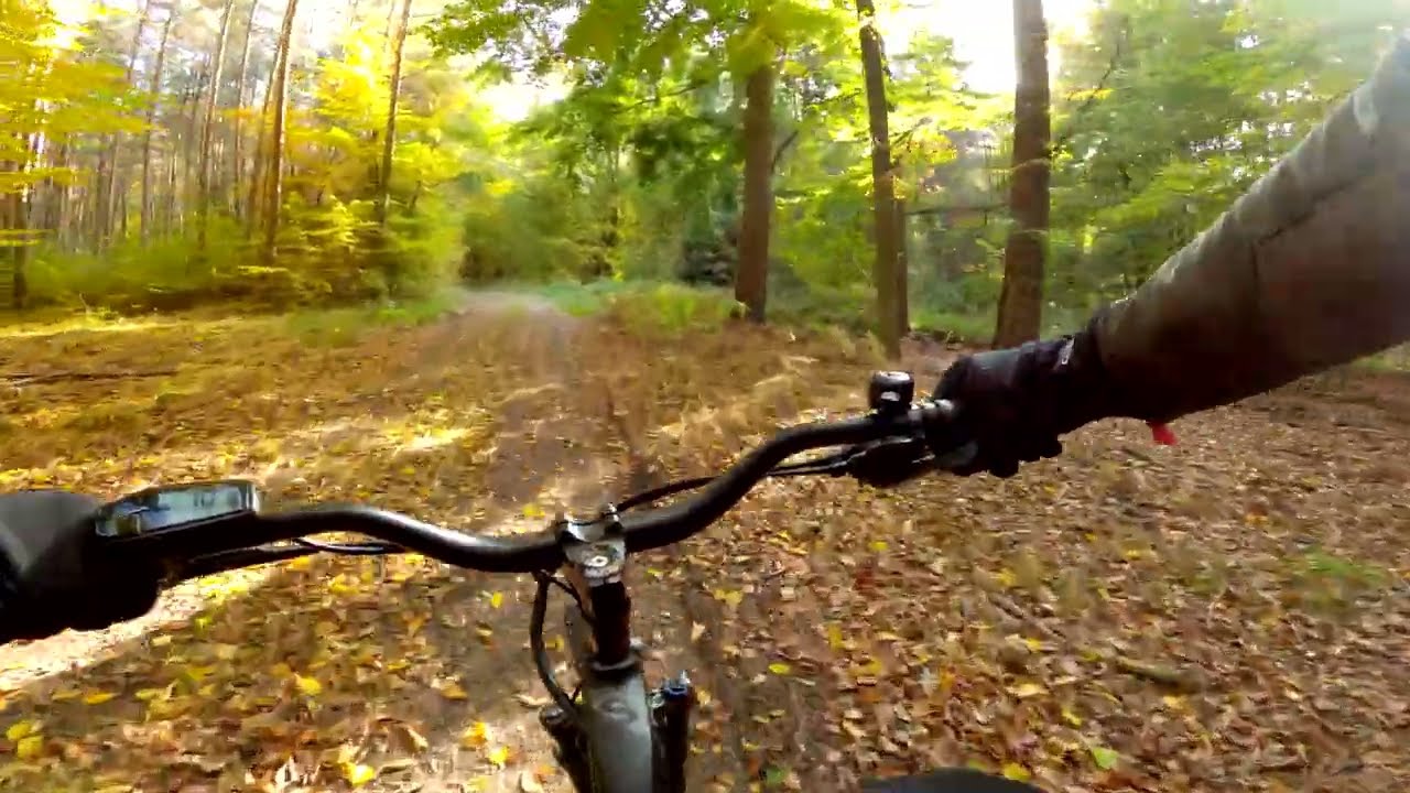 E-BIKE - Tour 2 - Autumn forest - Eberswalde Germany