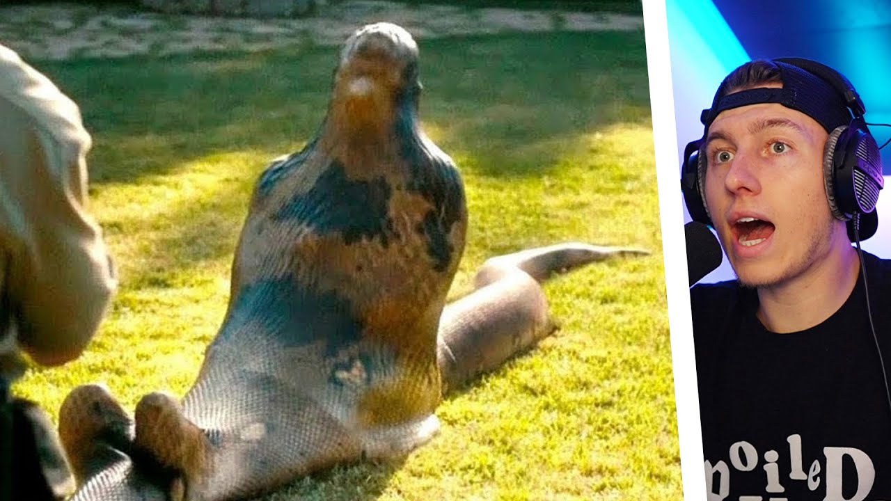 10 SELTSAME DINGE die IN TIEREN gefunden wurden