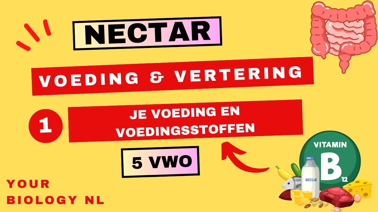 5 vwo | Voeding & Vertering | 1 | Voeding en voedingsstoffen