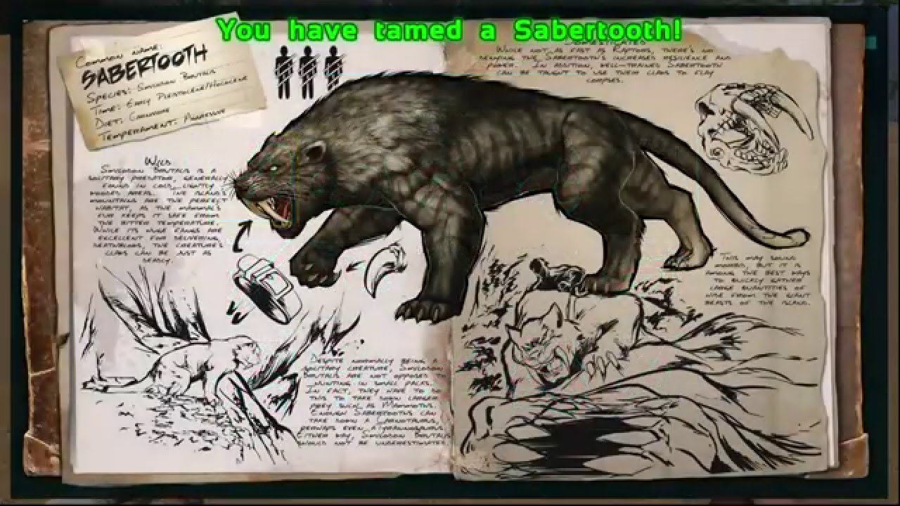 Taming a Sabertooth - Ark Survival: Evolved (Xbox One)