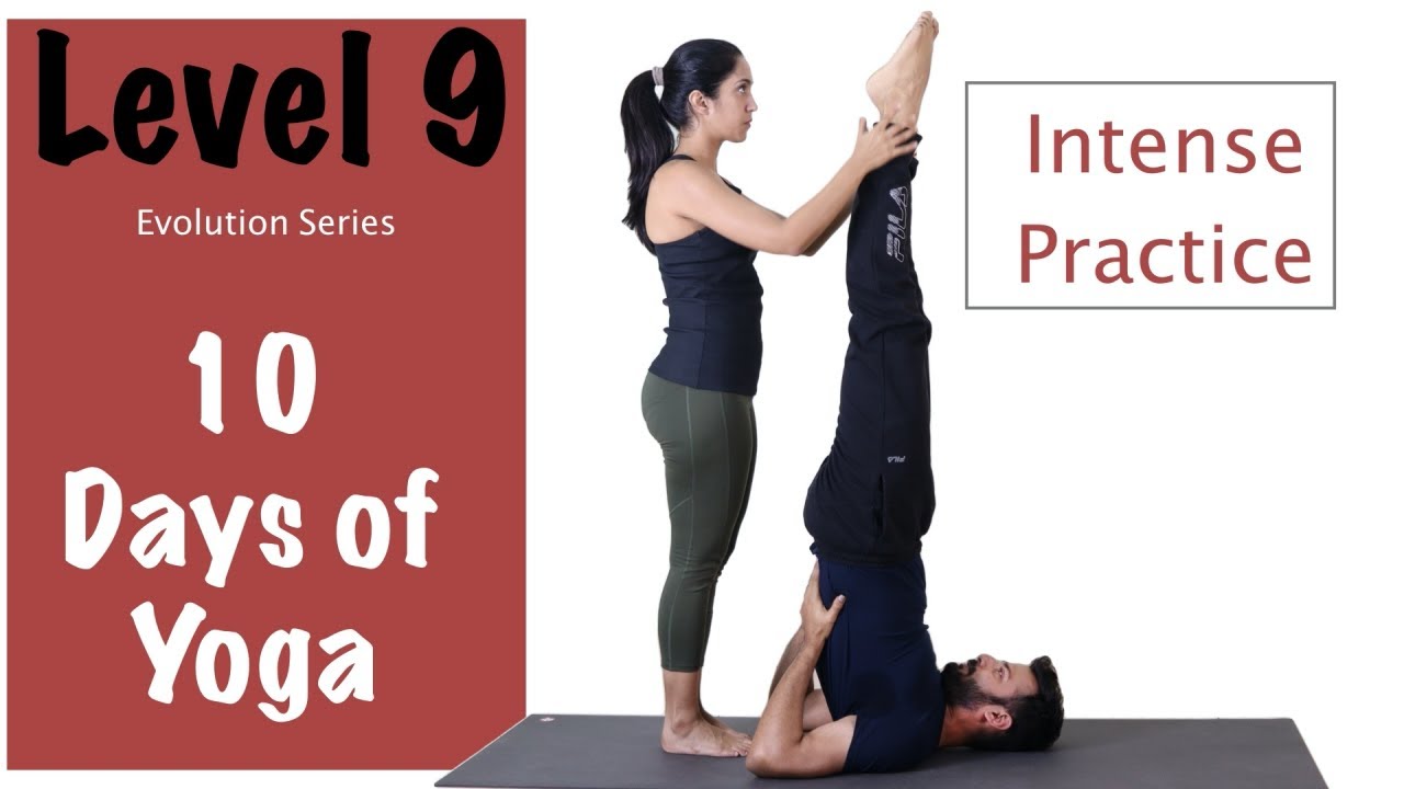 Level 9 - Yoga For Beginners - Yoga Flows - Evolution Series - Yogbela