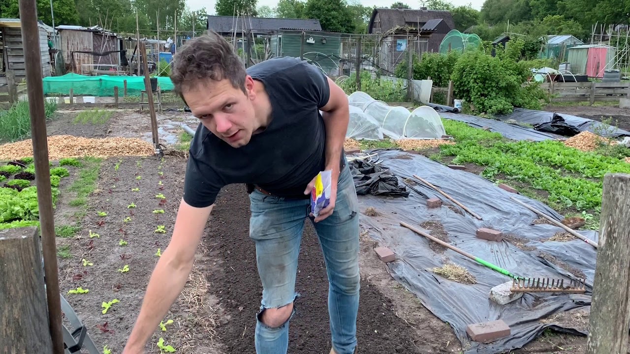 EFFM weekvlog 011 - zaaien, en moestuin update! Super snelle postelein!