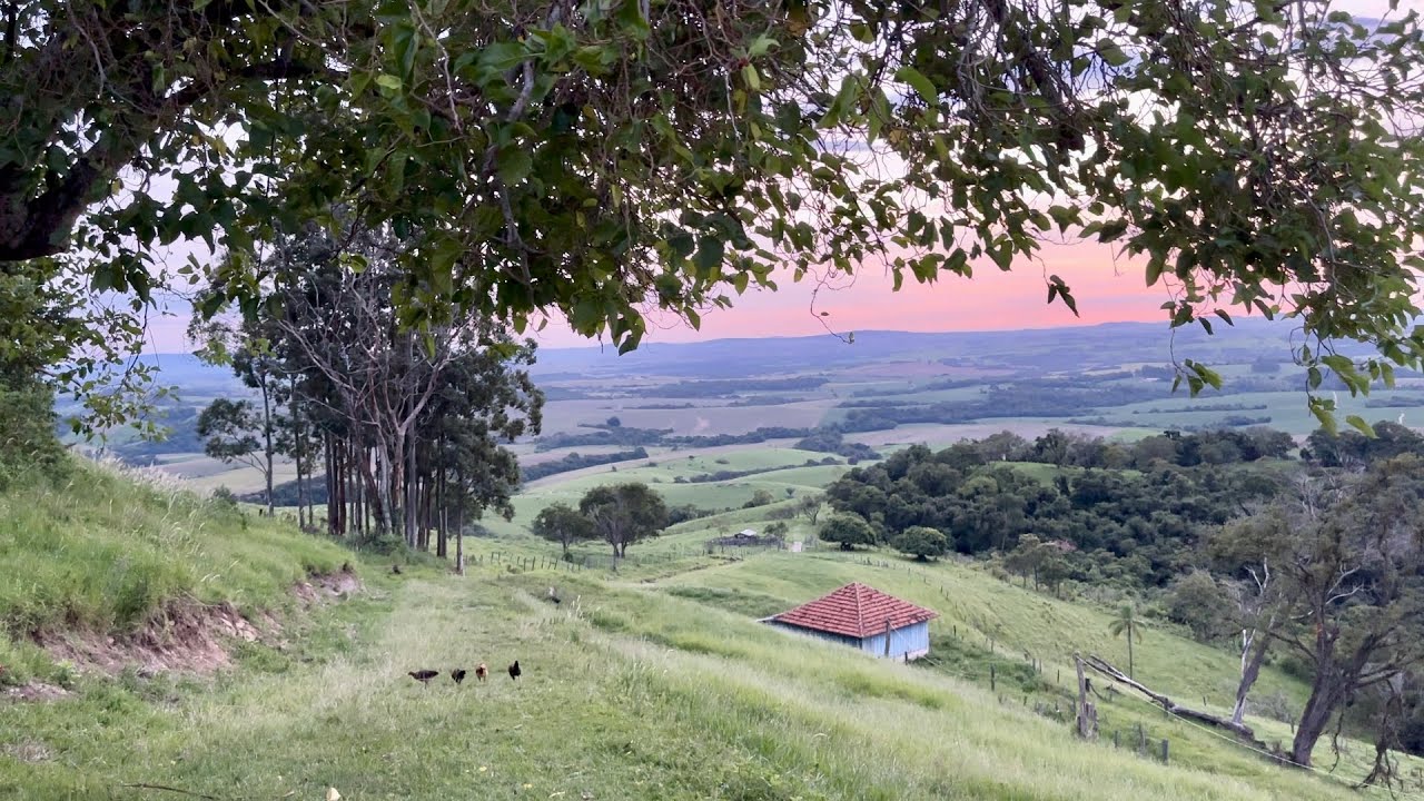 O amanhecer no s&iacute;tio da Dona Vicentina Cantos de p&aacute;ssaros e as paisagens Espetacular Desse lugar&hellip;