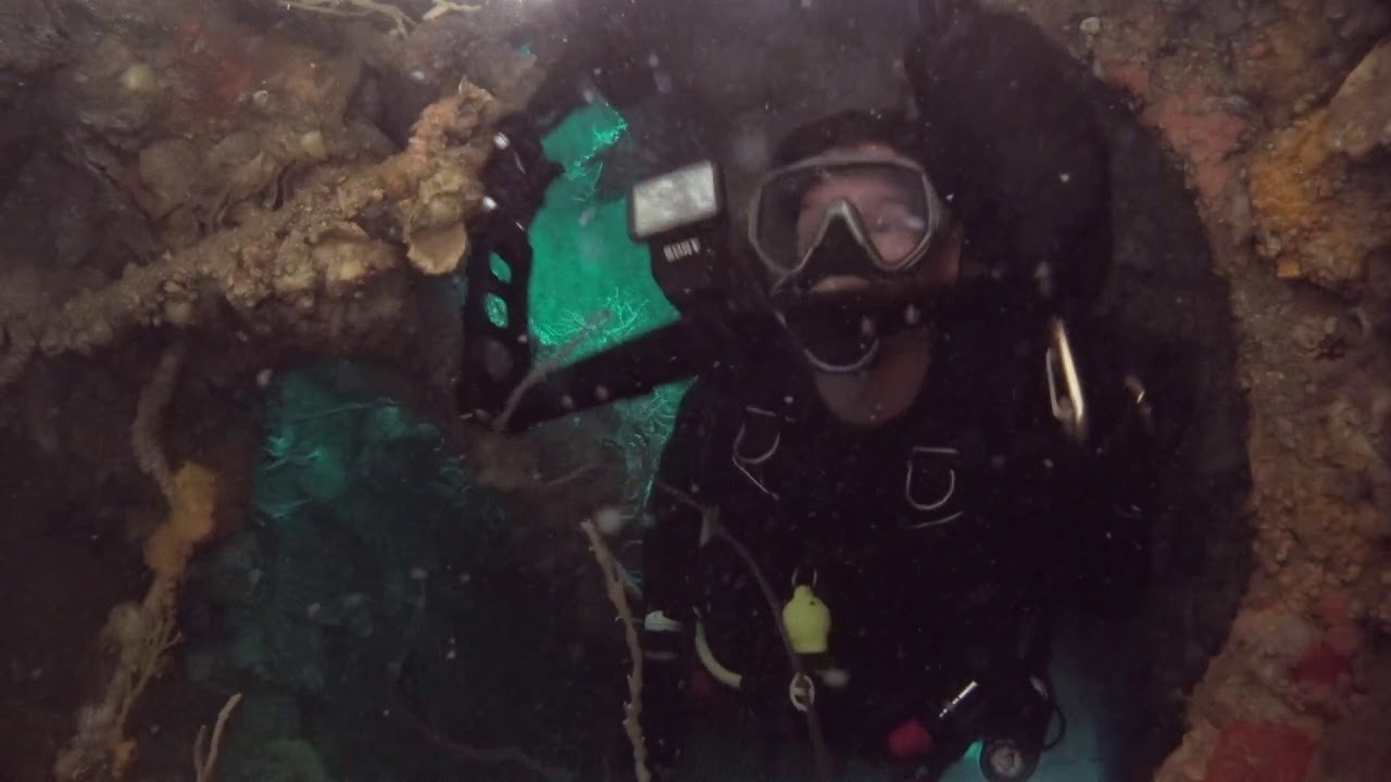 Marine life at the Suddhadib Wreck (Hardeep Wreck), Samaesan, Thailand