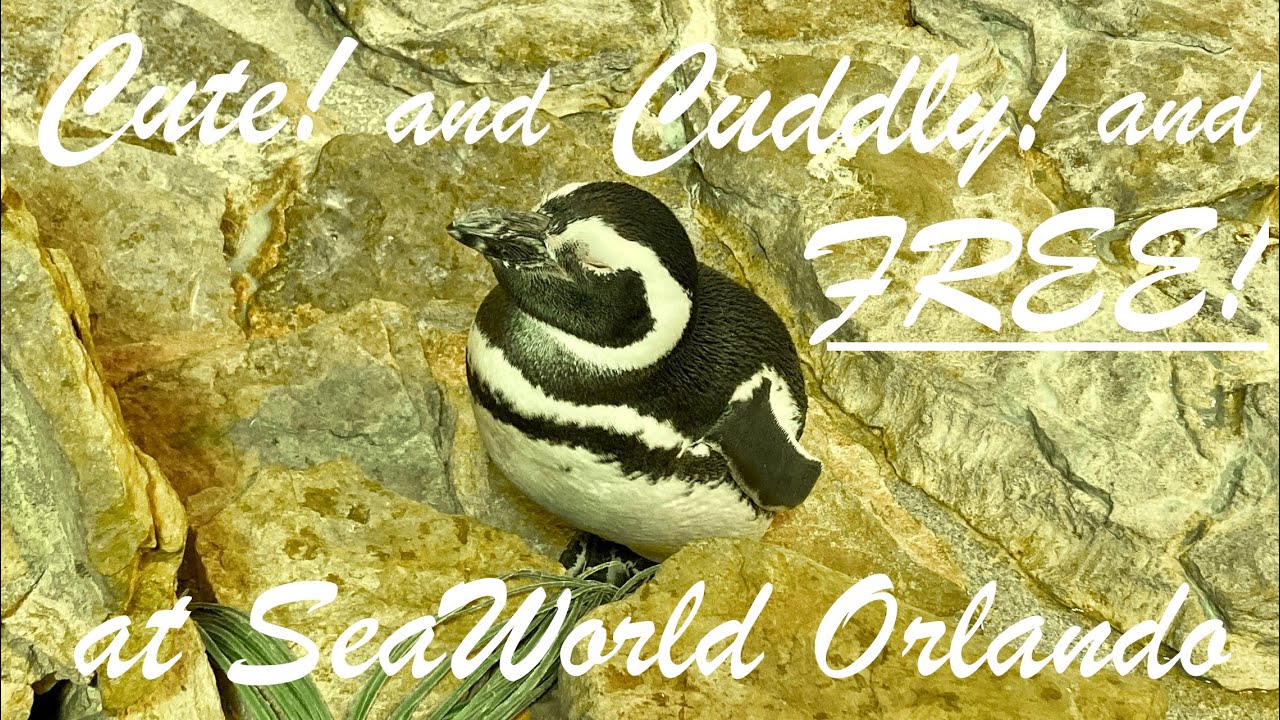 Inside Avian Research SeaWorld Inside Look 1-20-24
