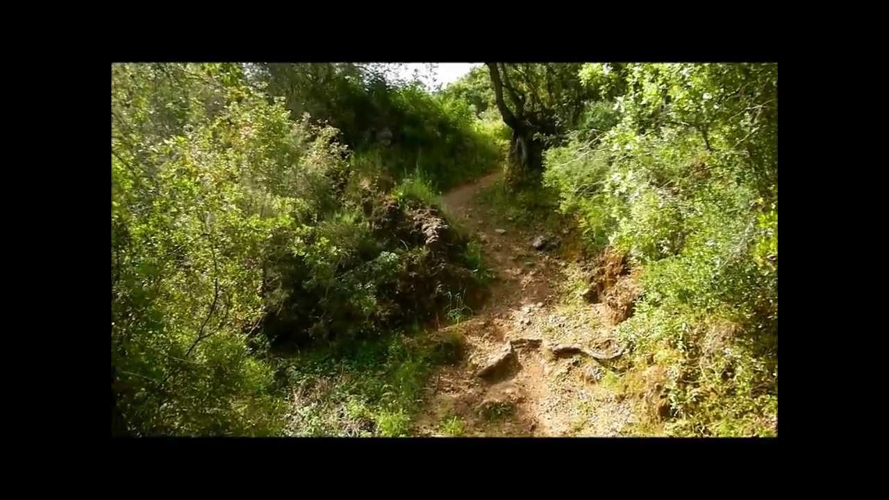 Team Birras - The Trail Tour