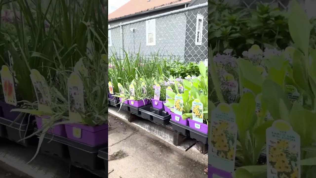 Cirians Farmers Market at 49th & Leavenworth in Omaha  #garden #omaha