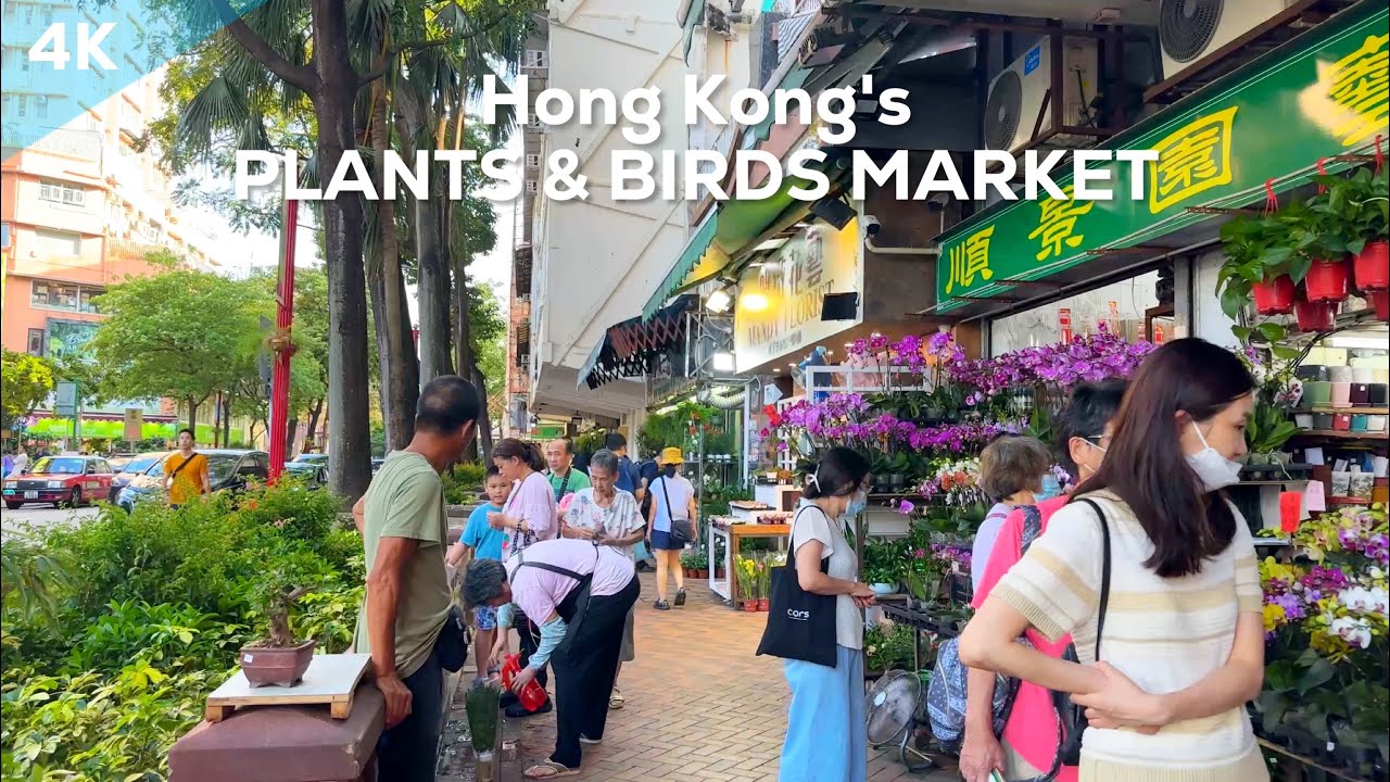 Hong Kong's Plants & Birds Market at Prince Edward (4K)