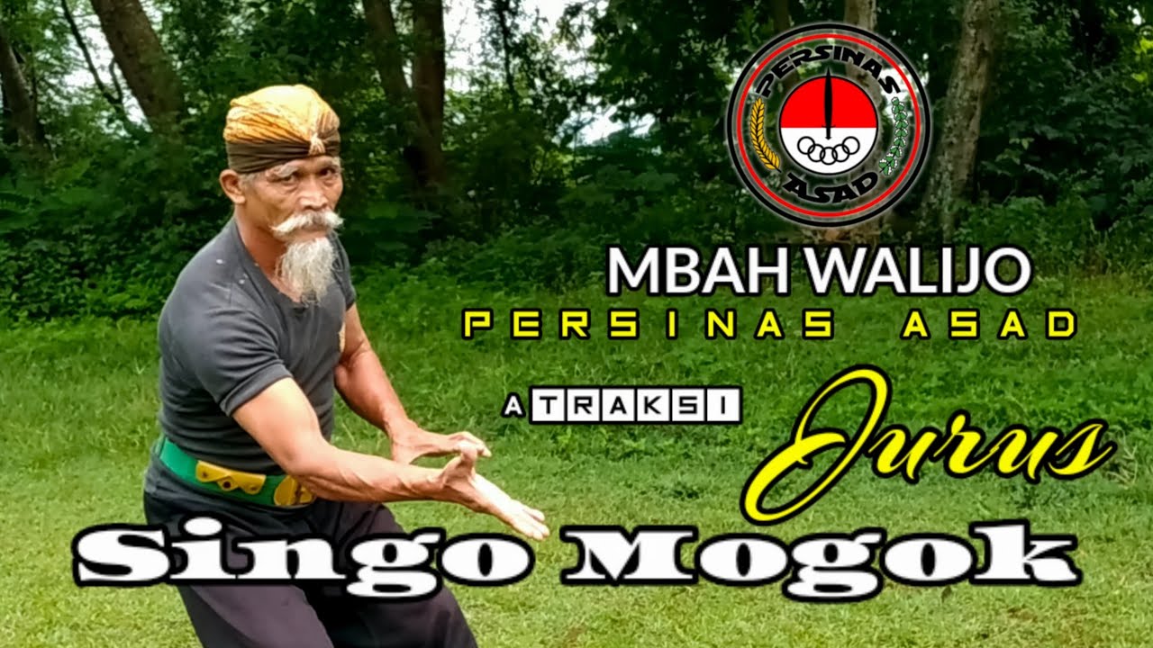 ATRAKSI JURUS SILAT MBAH WALIJO PERSINAS ASAD