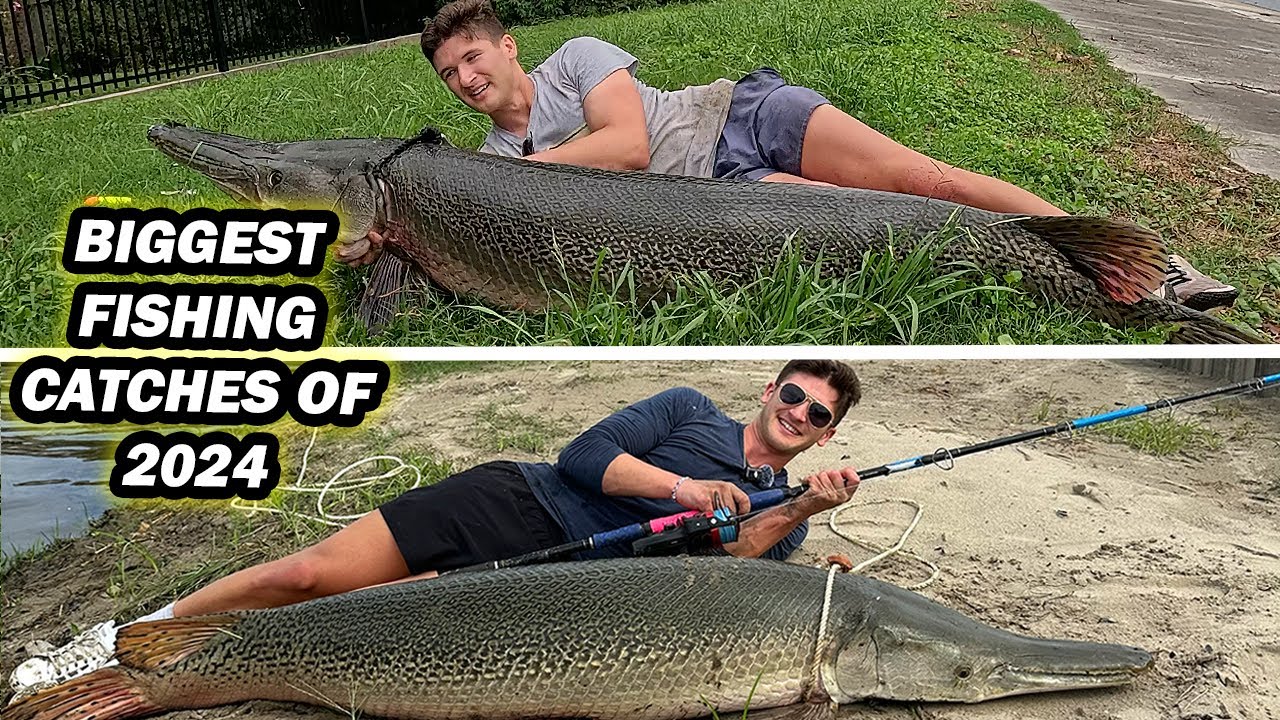 BIGGEST FISHING CATCHES COMPILATION 2024 (GIANTS ONLY)