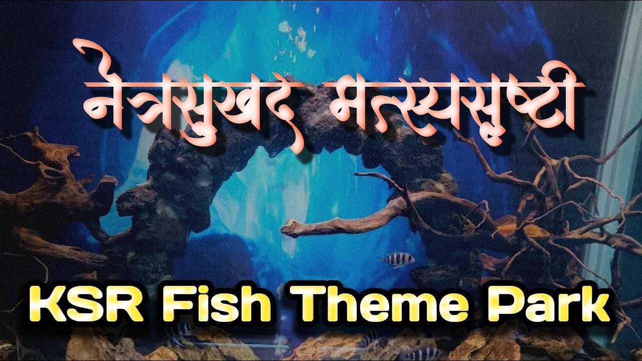 KSR Fish Theme Park kesari sawantwadi