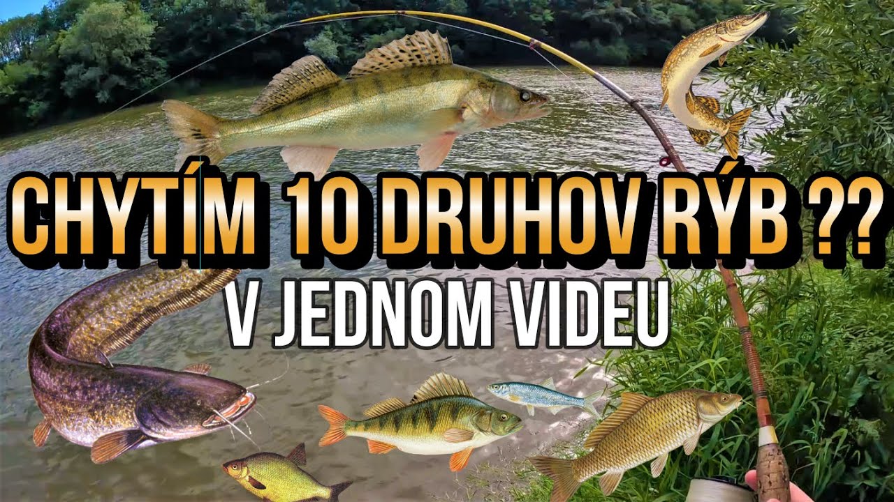 Obrovská Záhadná RYBA! 🐋😲 Lov Sumca | Zubáča Candáta | Šťuky Štiky a iných rýb - ŠPECIÁL