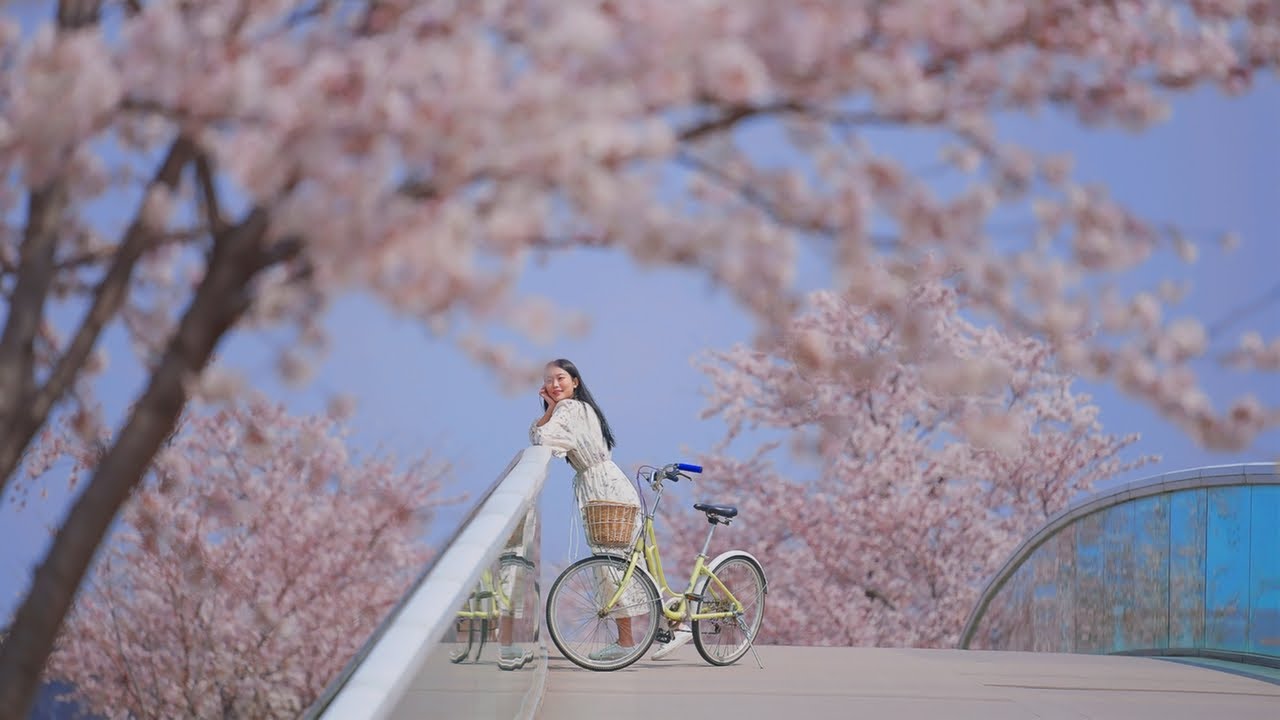 [KOR] Wellness Destination Gangneung
