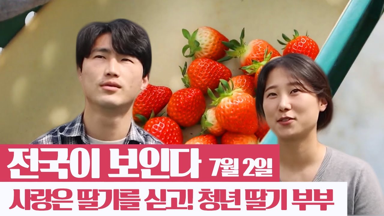 도심 속의 원시림, 대구 달성습지 ! | 부산 역사 여행 | 임시수도기념관 | 전통문화체험관 | 동대신동 | 청년 딸기 부부 | 전국이 보인다 | 07월 02일
