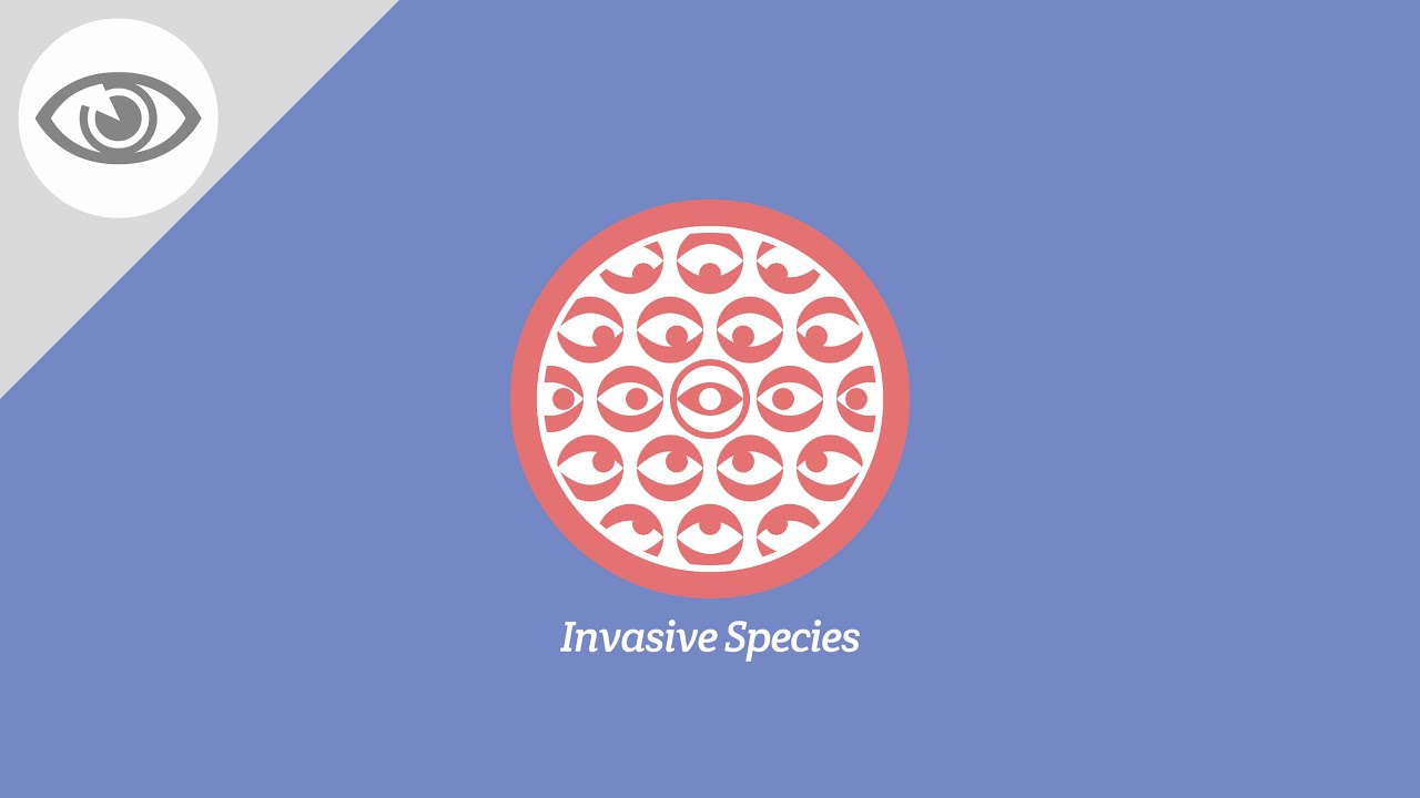 Are Invasive Species Breaking Ecosystems?