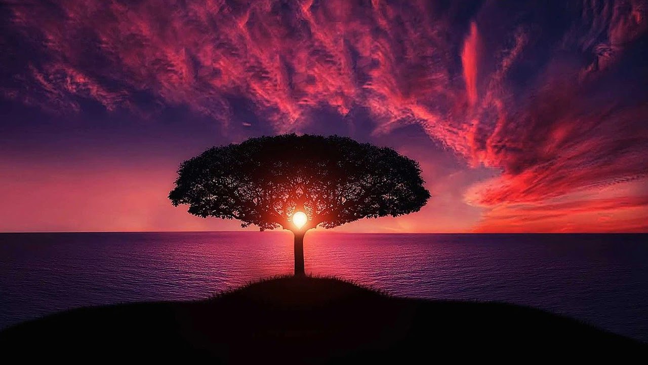 Time Management - Affirmations And Meditations, Become a Better YOU!