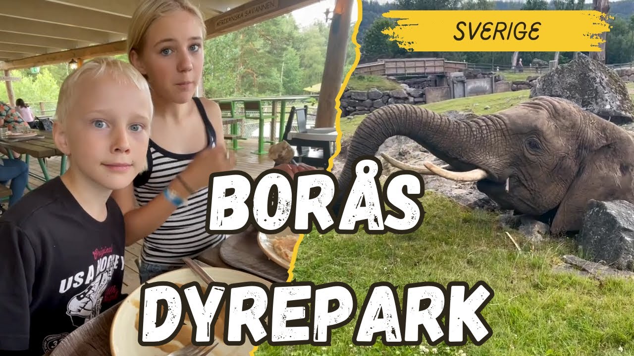 Saga og Petter besøker dyreparken i Borås - Djurpark Sverige