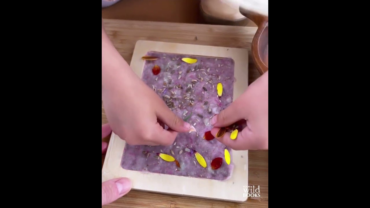 How to make: Seed Paper. A video guide by Your Wild Books