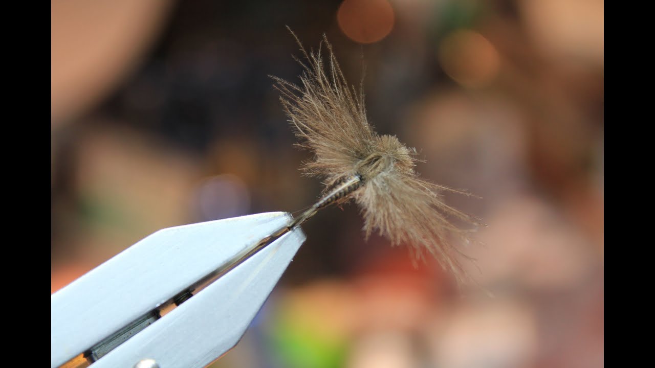 Baetis with spent wings (dry fly)