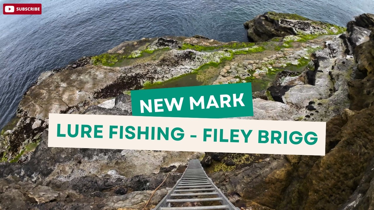 Hunting Wrasse, Bass & Mackerel on Lures | Filey Brigg Rocky Peninsula