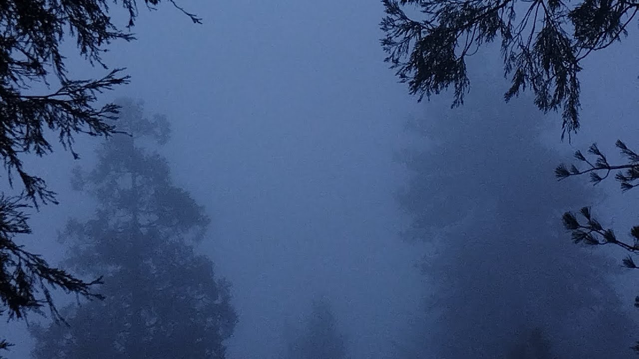 Dark blue aesthetic videos that i took