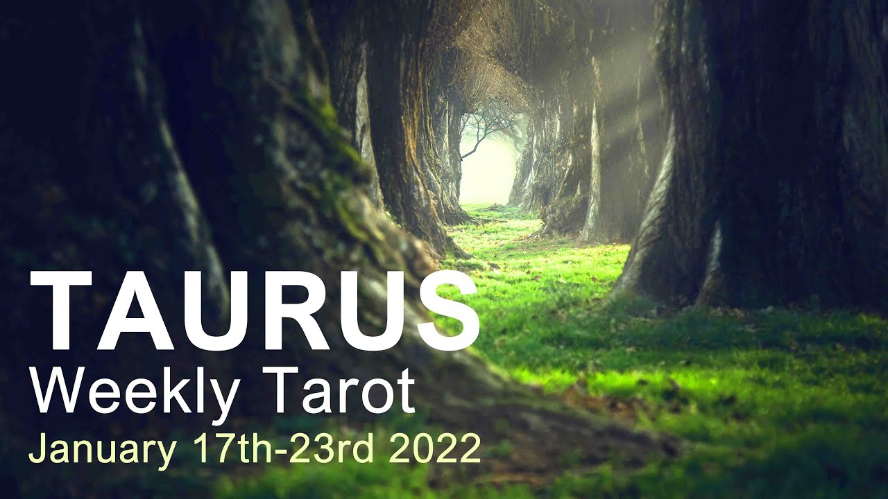 TAURUS WEEKLY TAROT READING 