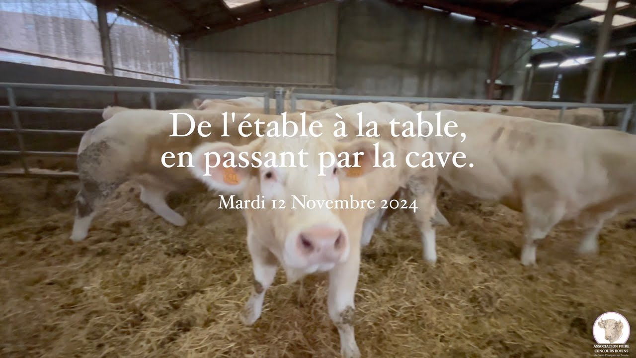 De l'étable à la table 2024 - Concours de bouchers & Cuisiniers