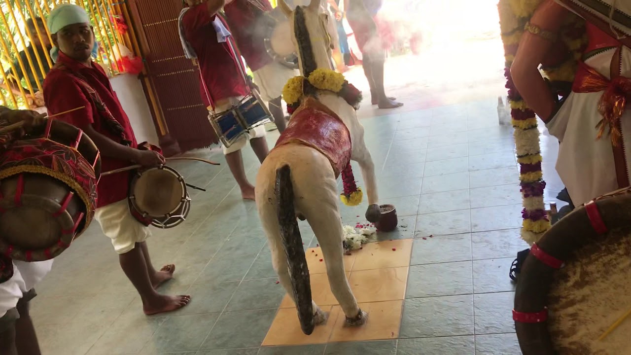 ONGGARA MAYA SAKTHI URUMI MELAM 2k19❤️✨