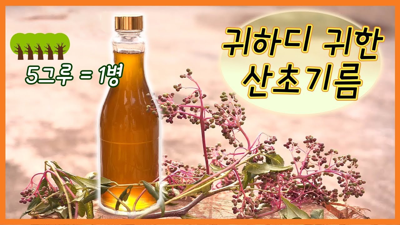 [숏클립] 귀하디 귀한 산초기름 (2019.10.01, 화)