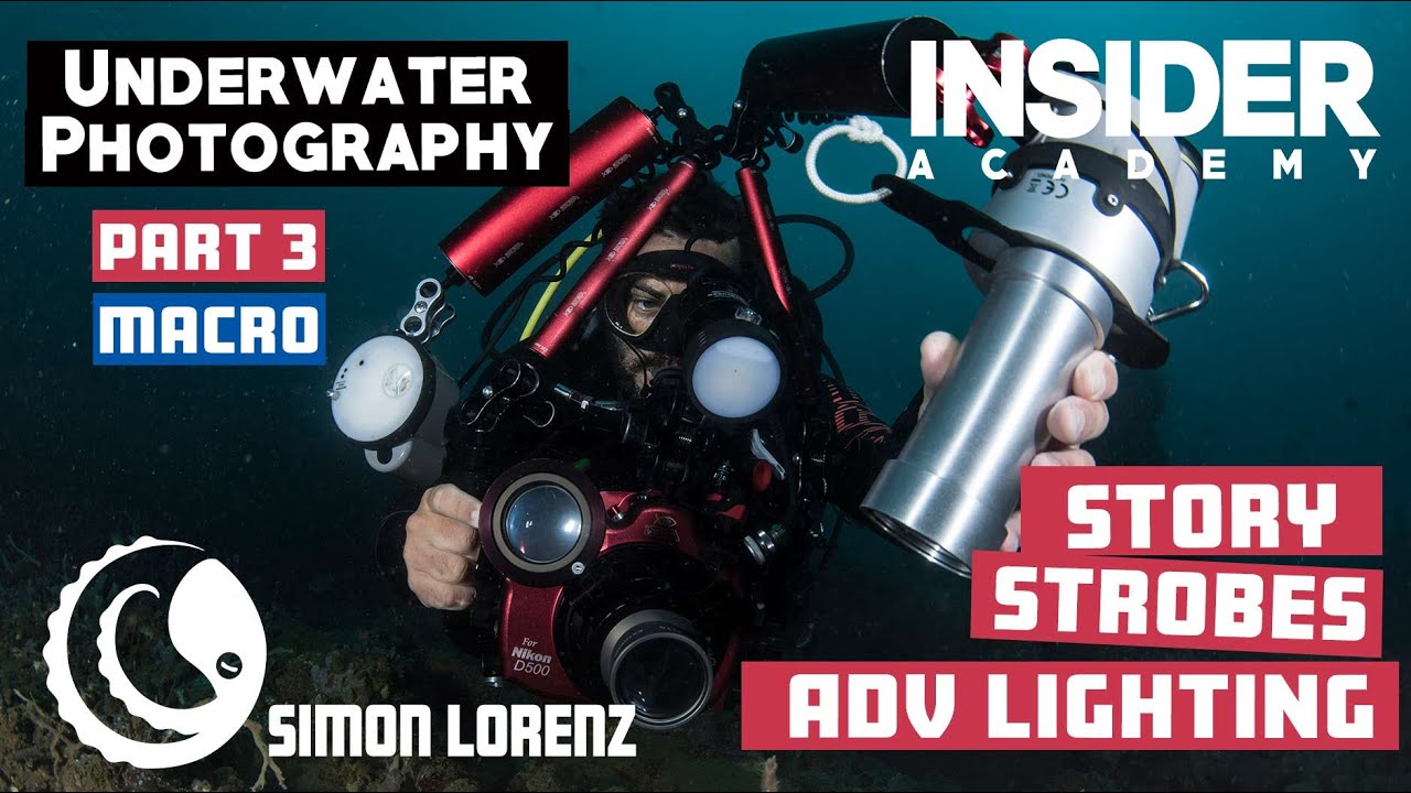 Underwater Photography - Part 3 - Macro Photography