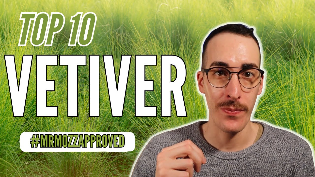 TOP 10 - Profumi al VETIVER #mrmozzapproved